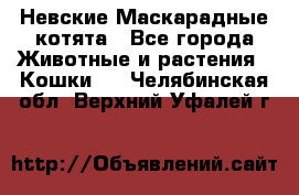 Невские Маскарадные котята - Все города Животные и растения » Кошки   . Челябинская обл.,Верхний Уфалей г.